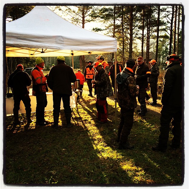... och efter lunchen tittade solen fram!
