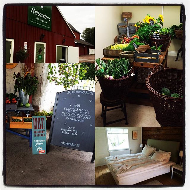 Inspirationsresa med stopp på Saltå Kvarn, gårdsbutiker och boende på lantligt B&B